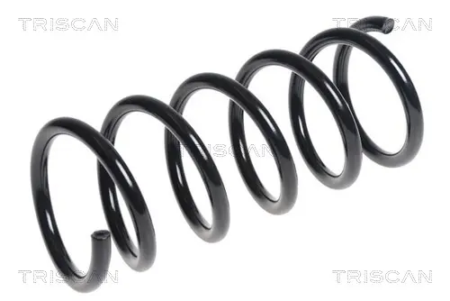 Пружина за ходовата част TRISCAN