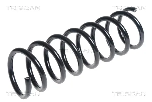 пружина за ходовата част TRISCAN             
