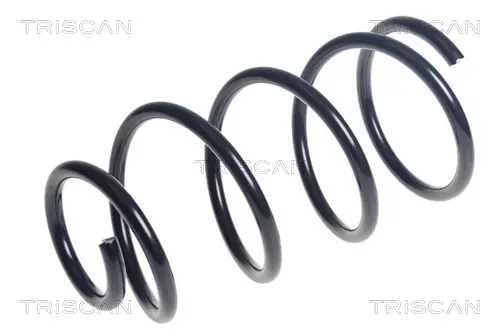 Пружина за ходовата част TRISCAN