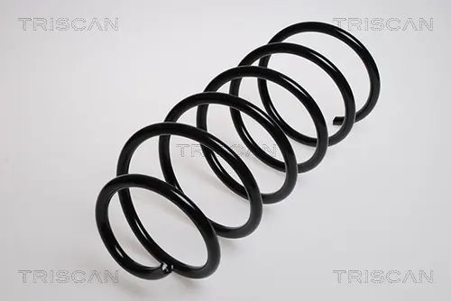 Пружина за ходовата част TRISCAN