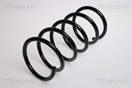 Пружина за ходовата част TRISCAN
