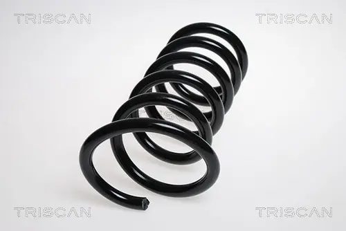 Пружина за ходовата част TRISCAN
