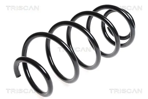 пружина за ходовата част TRISCAN             