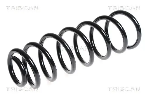 пружина за ходовата част TRISCAN             