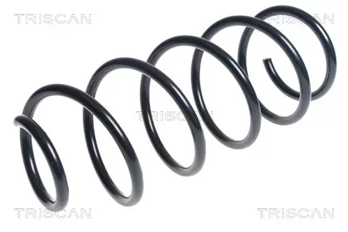 Пружина за ходовата част TRISCAN