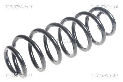 Пружина за ходовата част TRISCAN