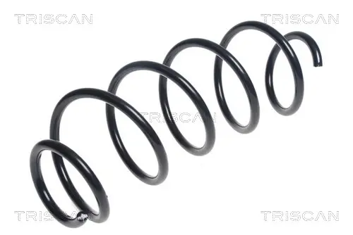 пружина за ходовата част TRISCAN             