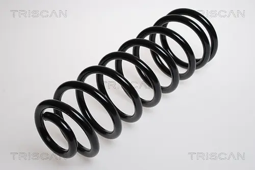 Пружина за ходовата част TRISCAN