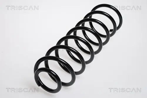 Пружина за ходовата част TRISCAN
