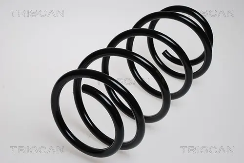 Пружина за ходовата част TRISCAN