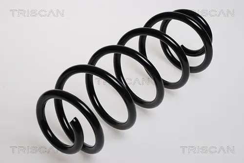Пружина за ходовата част TRISCAN