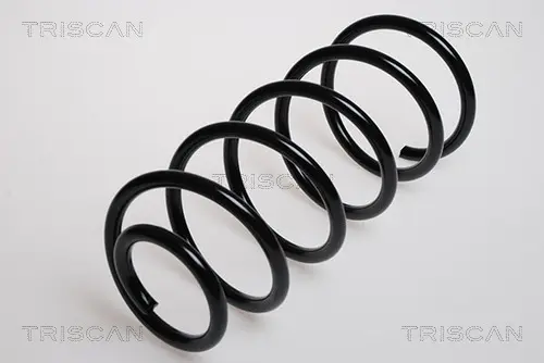 Пружина за ходовата част TRISCAN