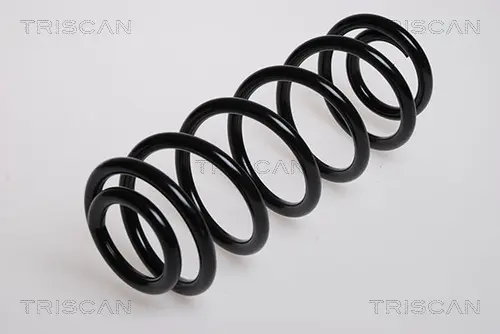 Пружина за ходовата част TRISCAN