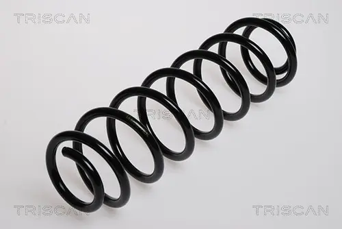 Пружина за ходовата част TRISCAN