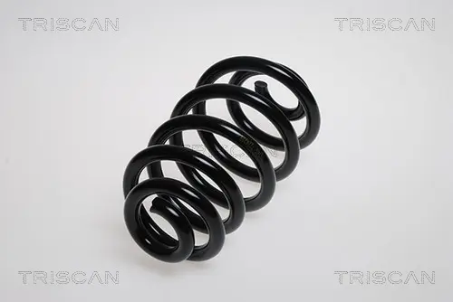 Пружина за ходовата част TRISCAN