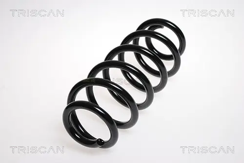 Пружина за ходовата част TRISCAN