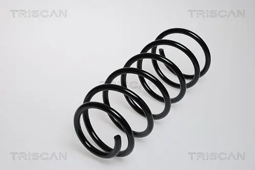 пружина за ходовата част TRISCAN             