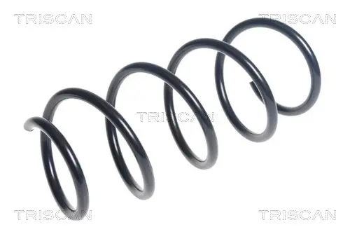 пружина за ходовата част TRISCAN             