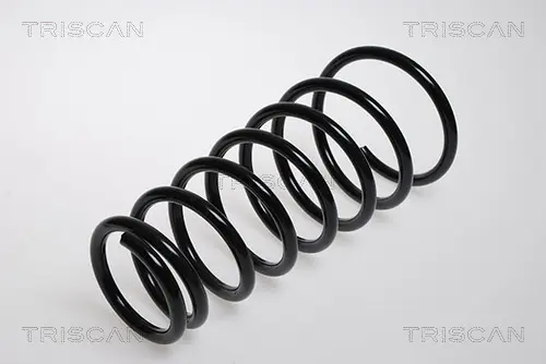 Пружина за ходовата част TRISCAN