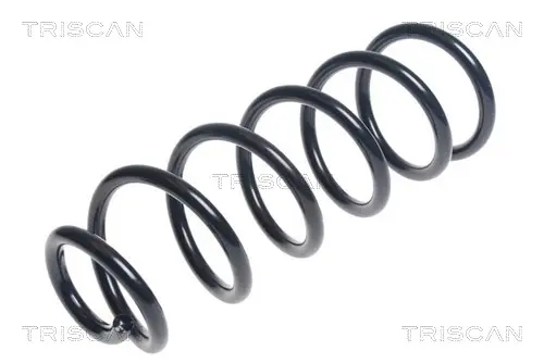 Пружина за ходовата част TRISCAN
