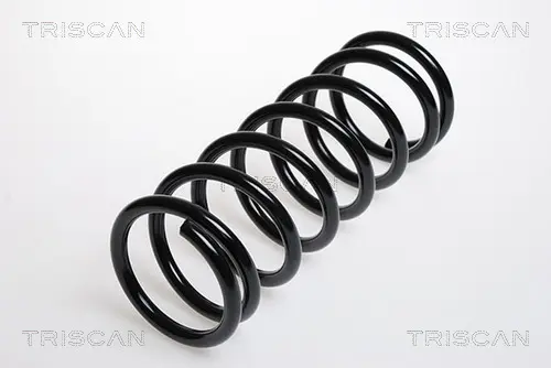 пружина за ходовата част TRISCAN             
