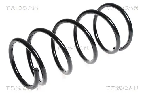 Пружина за ходовата част TRISCAN