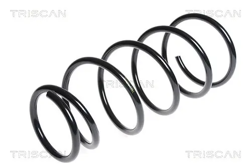 Пружина за ходовата част TRISCAN