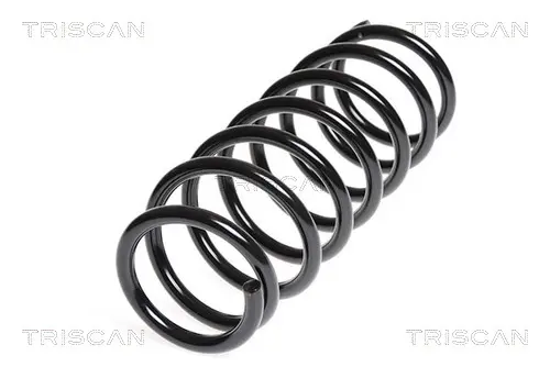 пружина за ходовата част TRISCAN             