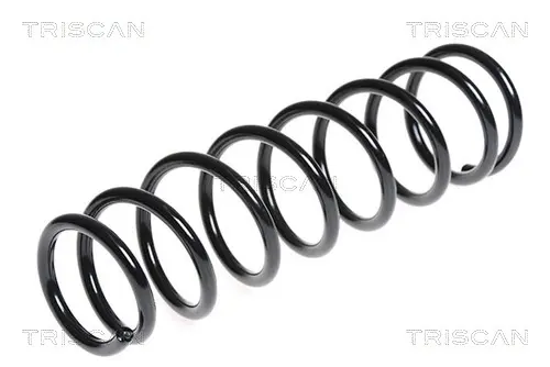 пружина за ходовата част TRISCAN             