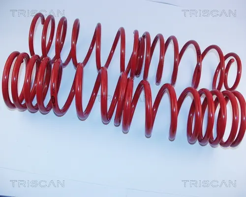 комплект за ходовата част, пружини TRISCAN             