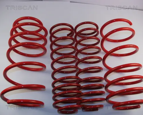 комплект за ходовата част, пружини TRISCAN             