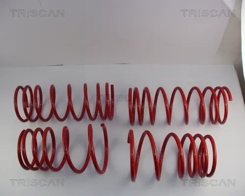 комплект за ходовата част, пружини TRISCAN             