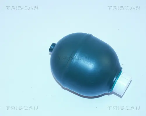 акумулатор на налягане, окачване-амортисьори TRISCAN             