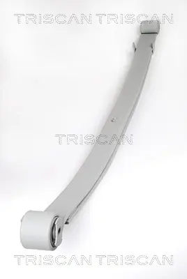 комплект пружини TRISCAN             