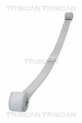 комплект пружини TRISCAN             