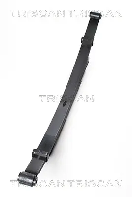 комплект пружини TRISCAN             