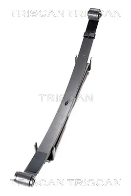 комплект пружини TRISCAN             