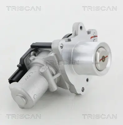 AGR-Клапан TRISCAN             