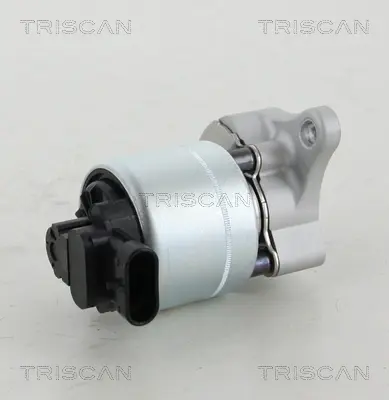 AGR-Клапан TRISCAN