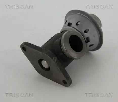 AGR-Клапан TRISCAN             
