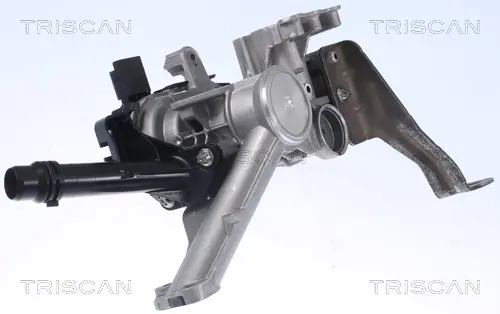 AGR-Клапан TRISCAN             