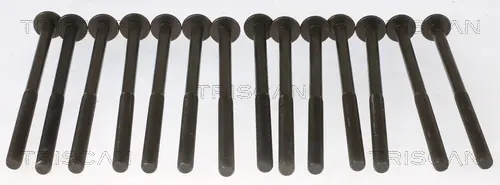 комплект болтове на капака на клап. (на цилиндровата глава) TRISCAN             