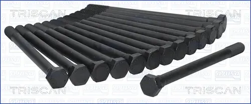 комплект болтове на капака на клап. (на цилиндровата глава) TRISCAN             