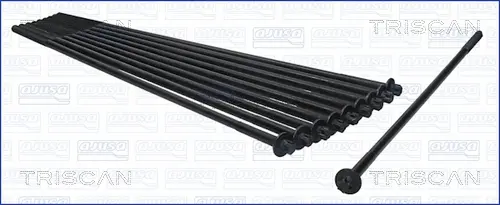 комплект болтове на капака на клап. (на цилиндровата глава) TRISCAN             