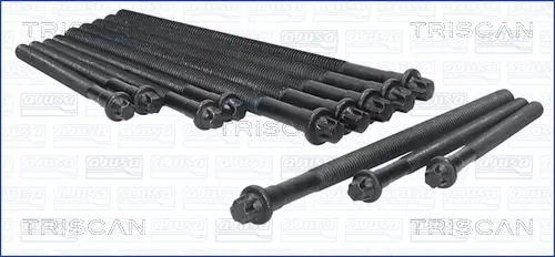 комплект болтове на капака на клап. (на цилиндровата глава) TRISCAN             