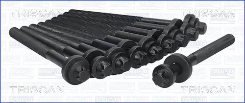 комплект болтове на капака на клап. (на цилиндровата глава) TRISCAN             
