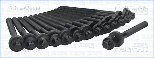 комплект болтове на капака на клап. (на цилиндровата глава) TRISCAN             