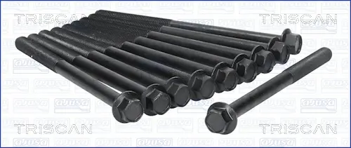 комплект болтове на капака на клап. (на цилиндровата глава) TRISCAN             