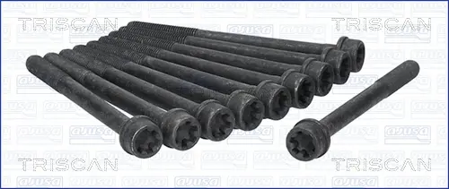 комплект болтове на капака на клап. (на цилиндровата глава) TRISCAN             