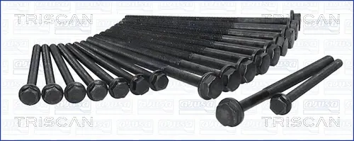 комплект болтове на капака на клап. (на цилиндровата глава) TRISCAN             